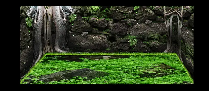 tranh 3d hồ cá