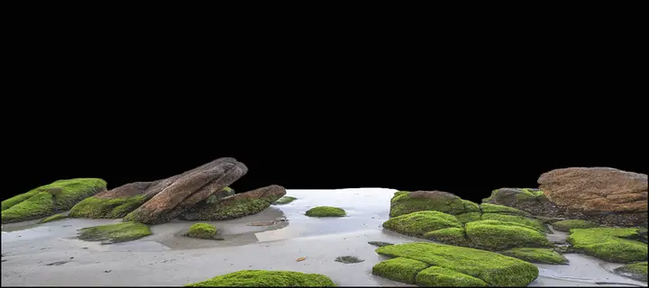tranh 3d hồ cá