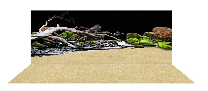 tranh 3d hồ cá