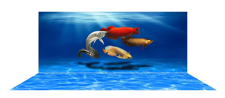 tranh 3d hồ cá