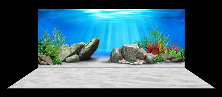 tranh 3d hồ cá