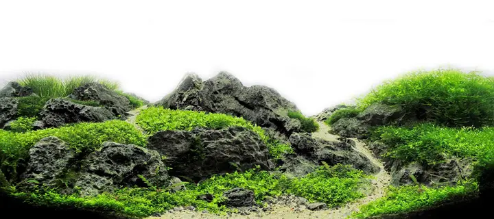 tranh 3d hồ cá
