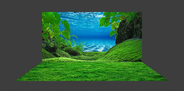 tranh 3d hồ cá