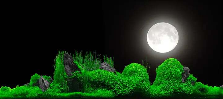 tranh 3d hồ cá