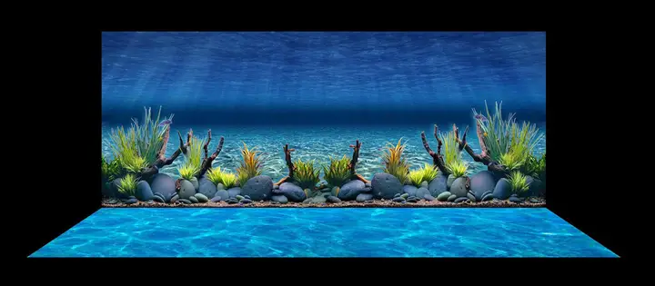 tranh 3d hồ cá