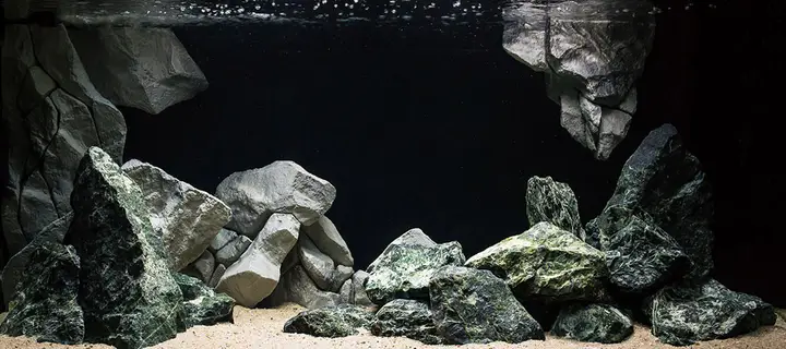 tranh 3d hồ cá