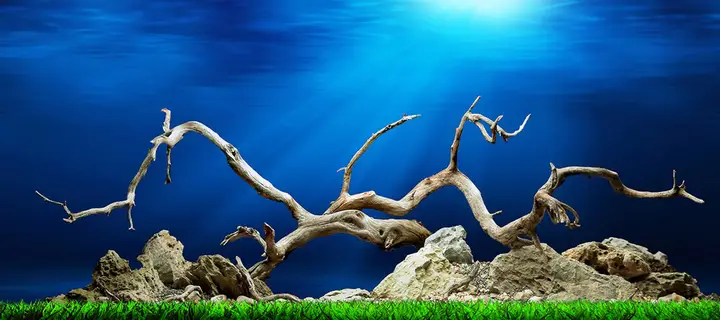 tranh 3d hồ cá