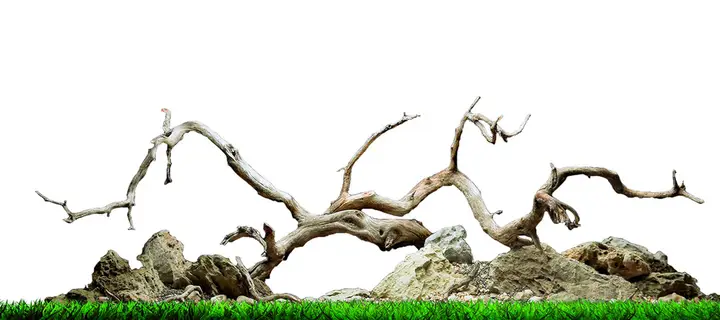 tranh 3d hồ cá