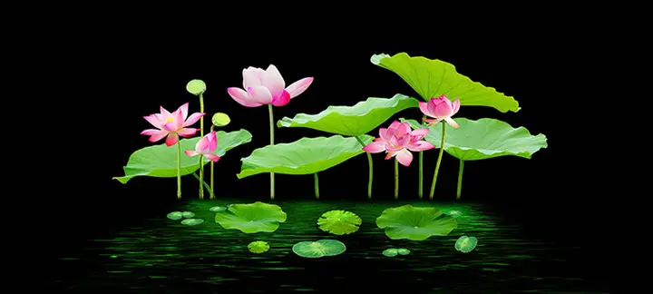 tranh 3d hồ cá