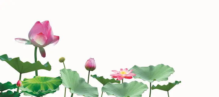 tranh 3d hồ cá