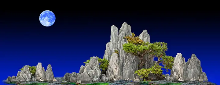 tranh 3d hồ cá