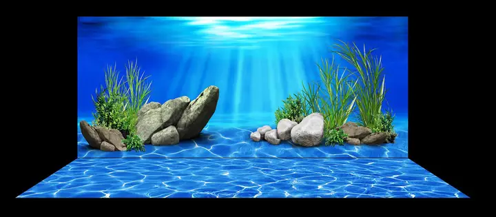 tranh 3d hồ cá