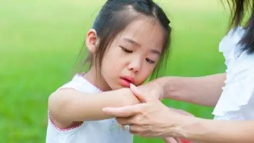 Sơ cứu vết thương chó cắn đúng cách trẻ bị chó cắn cần làm gì