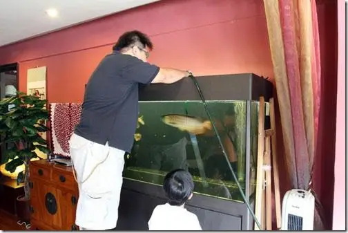tủ hồ cá rồng