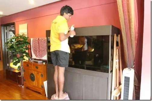 tủ hồ cá rồng