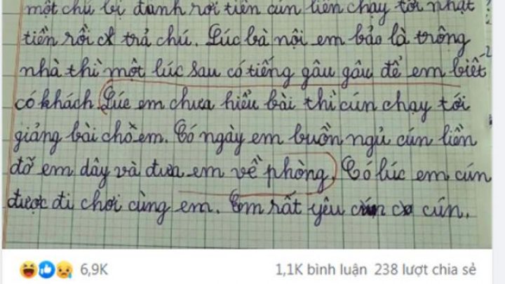 Mô tả về con chó  Vẻ đẹp và tính cách