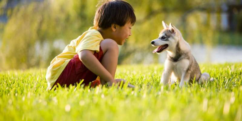 Những hoạt động thú vị với chó cho trẻ em
