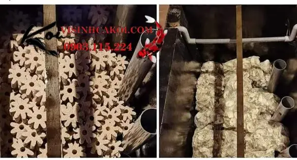 vật liệu lọc hồ cá koi vật liệu lọc hồ cá koi