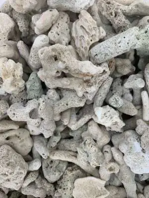 vật liệu lọc hồ cá koi vật liệu lọc hồ cá koi