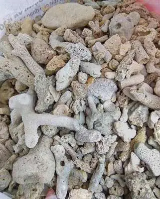 vật liệu lọc hồ cá koi vật liệu lọc hồ cá koi