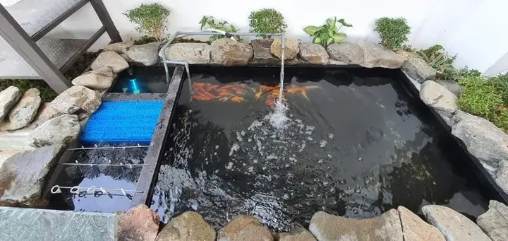 vật liệu lọc hồ cá koi vật liệu lọc hồ cá koi