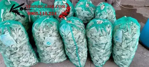 vật liệu lọc hồ cá koi vật liệu lọc hồ cá koi