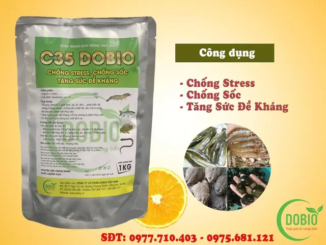 vitamin c cho cá mua ở đâu vitamin c cho cá mua ở đâu
