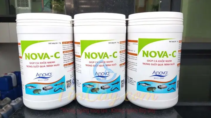 vitamin c cho cá mua ở đâu vitamin c cho cá mua ở đâu