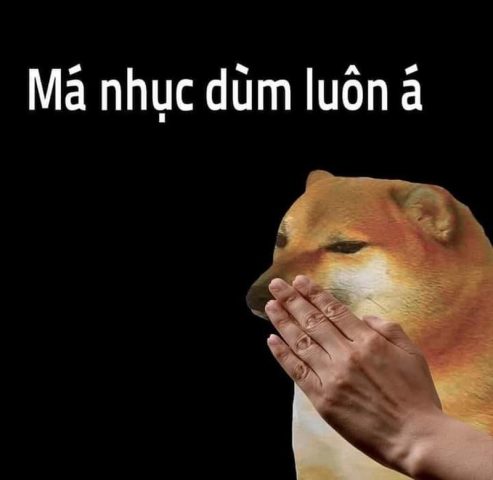 Các ví dụ nổi bật về xạo chó meme